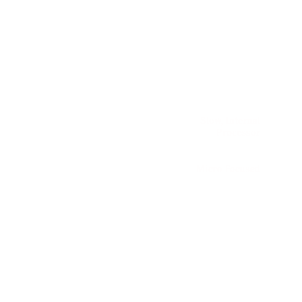 Profile Graph of the Bear