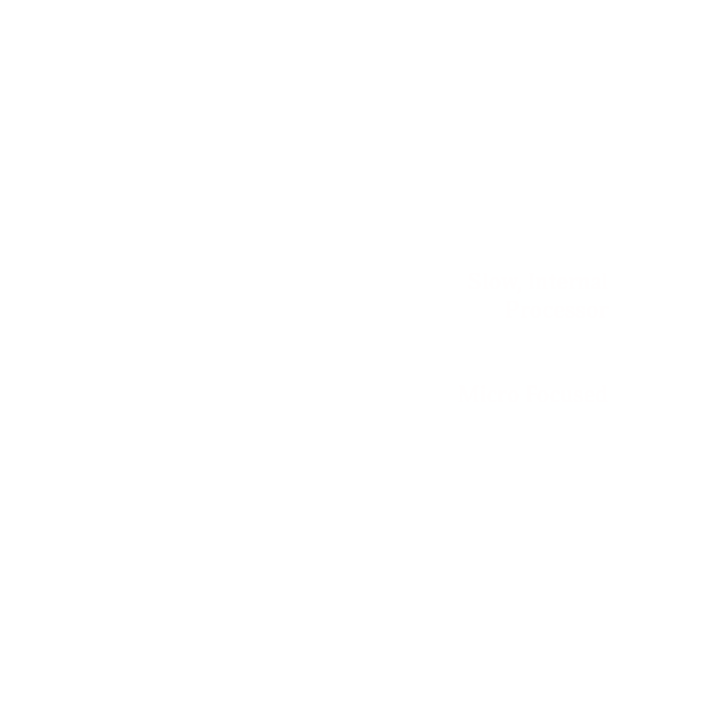 Profile Graph of the Dolphin